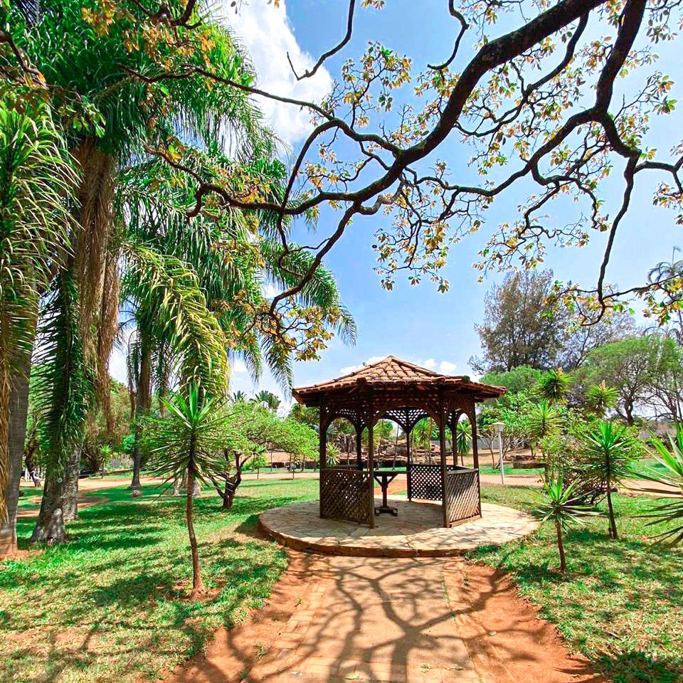 Virtude Acolher - Recife Guabiraba